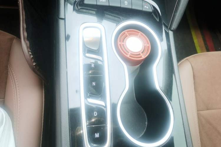 Used Buick Regal 2020 552T Luxury Version Gear Lever