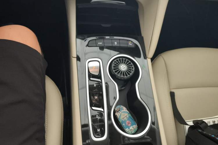 Used Buick Regal 2020 552T Elite Edition Gear Lever