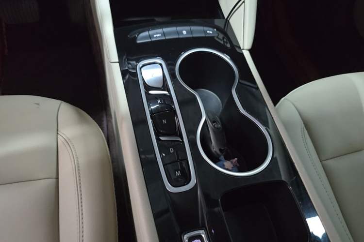 Used Buick Regal 2020 552T Elite Edition Gear Lever