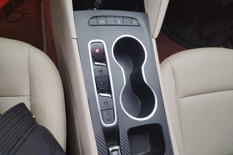Used Buick Regal 2020 552T Elite Edition Gear Lever