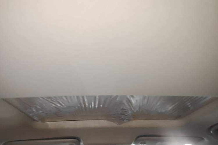 Used Buick Regal 2020 552T Luxury Version Headliner