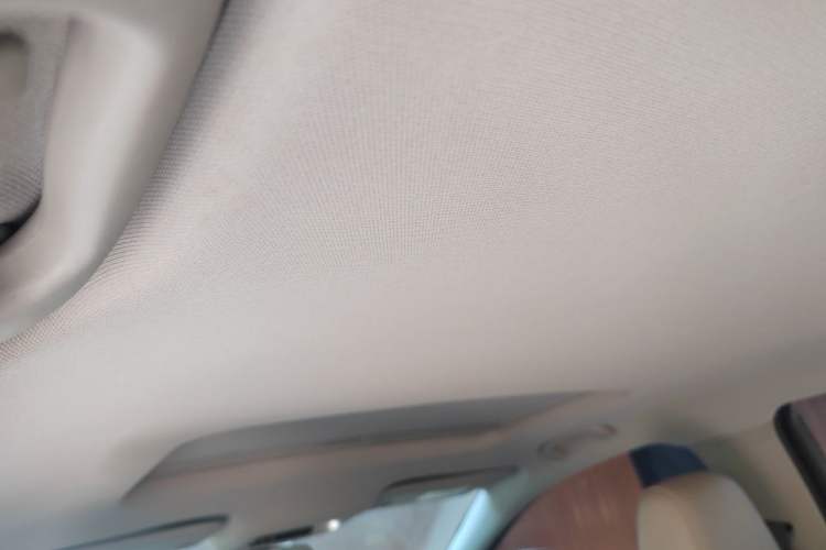 Used Buick Regal 2020 552T Elite Edition Headliner