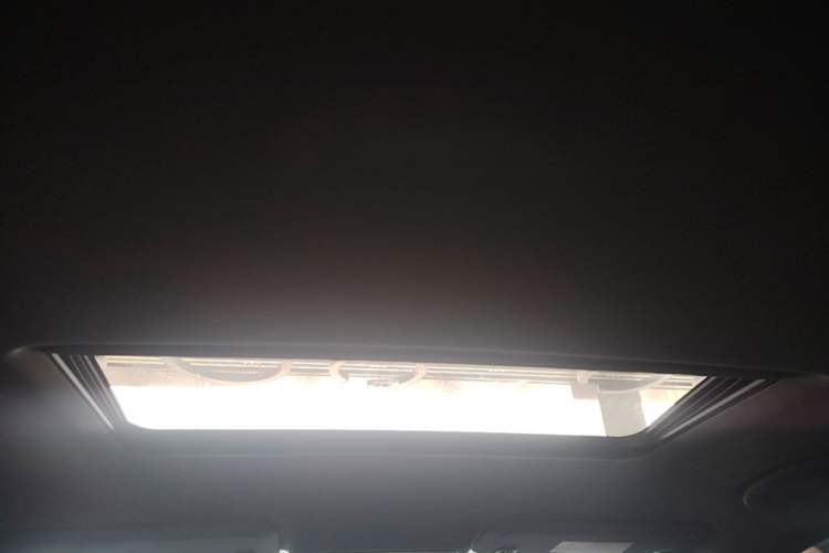 Used Buick Regal 2020 GS 28T Elite Model Headliner