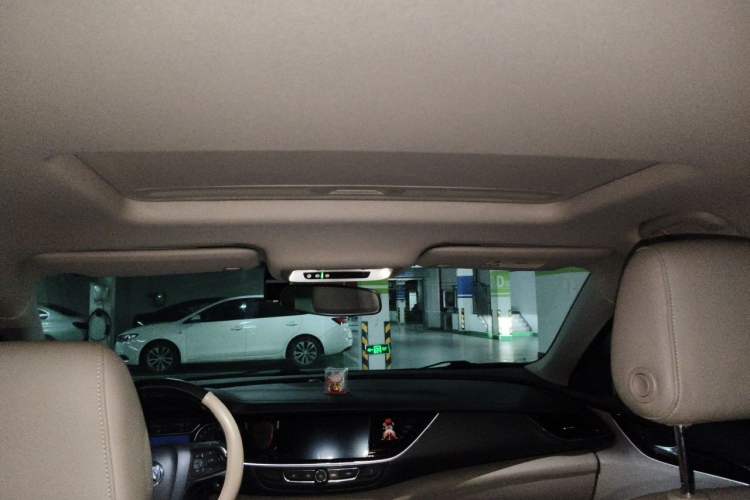 Used Buick Regal 2020 552T Elite Edition Headliner