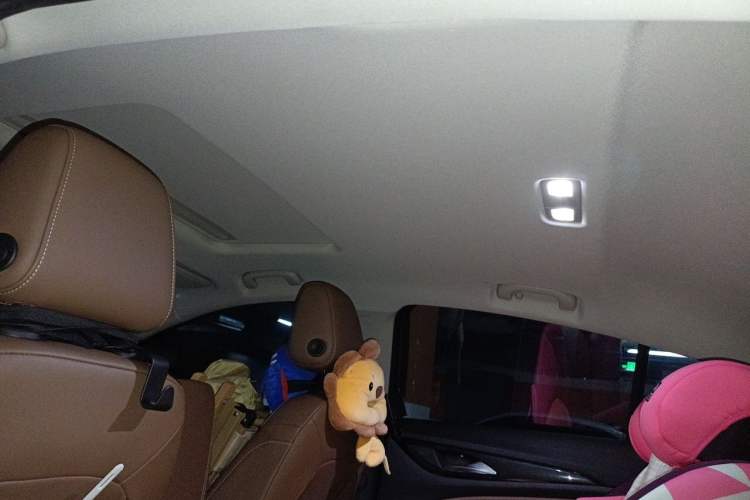 Used Buick Regal 2020 552T Luxury Version Headliner