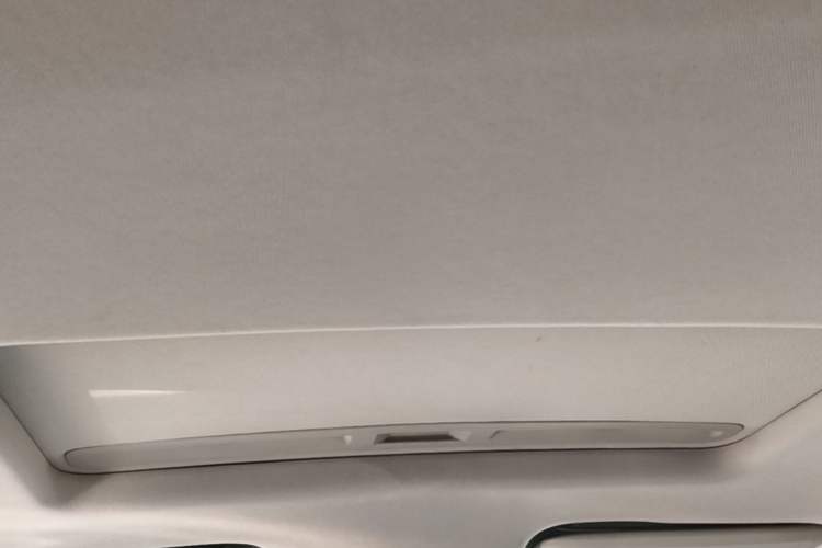 Used Buick Regal 2020 552T Elite Edition Headliner