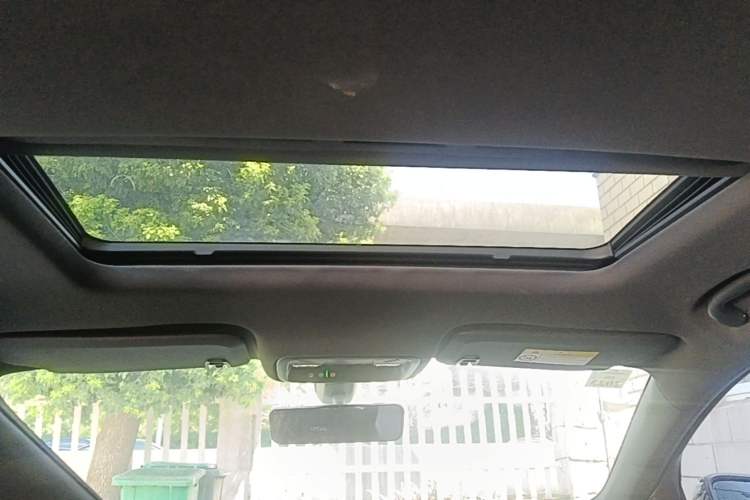 Used Buick Regal 2020 GS 28T Elite Model Headliner