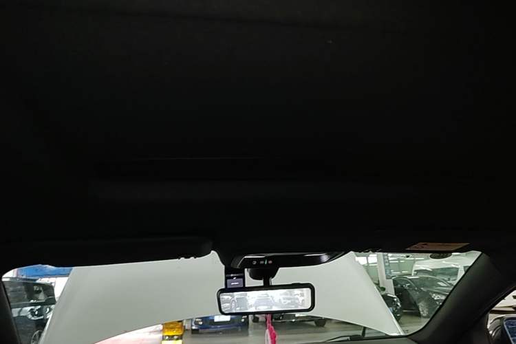 Used Buick Regal 2020 GS 28T Elite Model Headliner