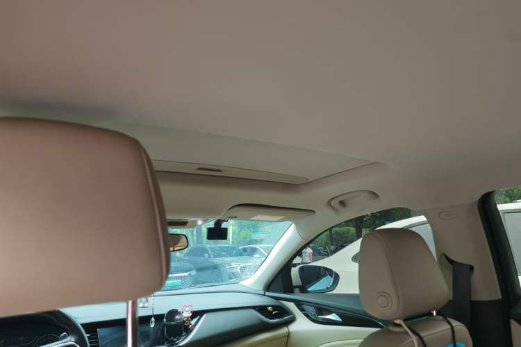 Used Buick Regal 2020 552T Elite Edition Headliner