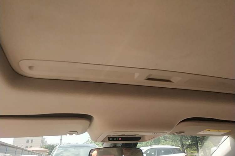 Used Buick Regal 2020 652T Elite Edition Headliner