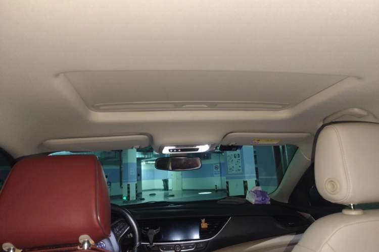 Used Buick Regal 2020 552T Elite Edition Headliner