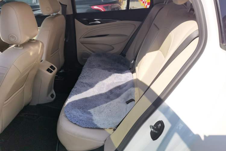 Used Buick Regal 2020 552T Elite Edition Left Rear Seat