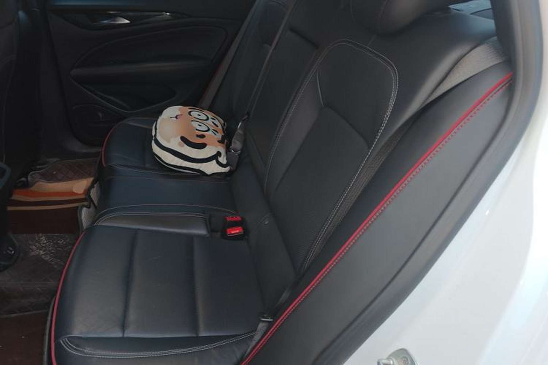 Used Buick Regal 2020 GS 28T Elite Model Left Rear Seat