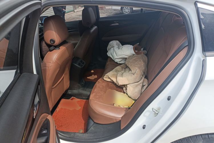 Used Buick Regal 2020 552T Luxury Version Left Rear Seat