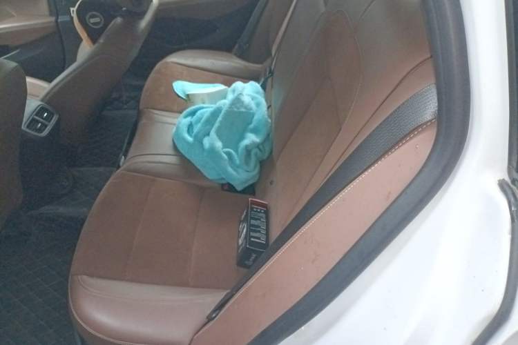 Used Buick Regal 2020 552T Luxury Version Left Rear Seat