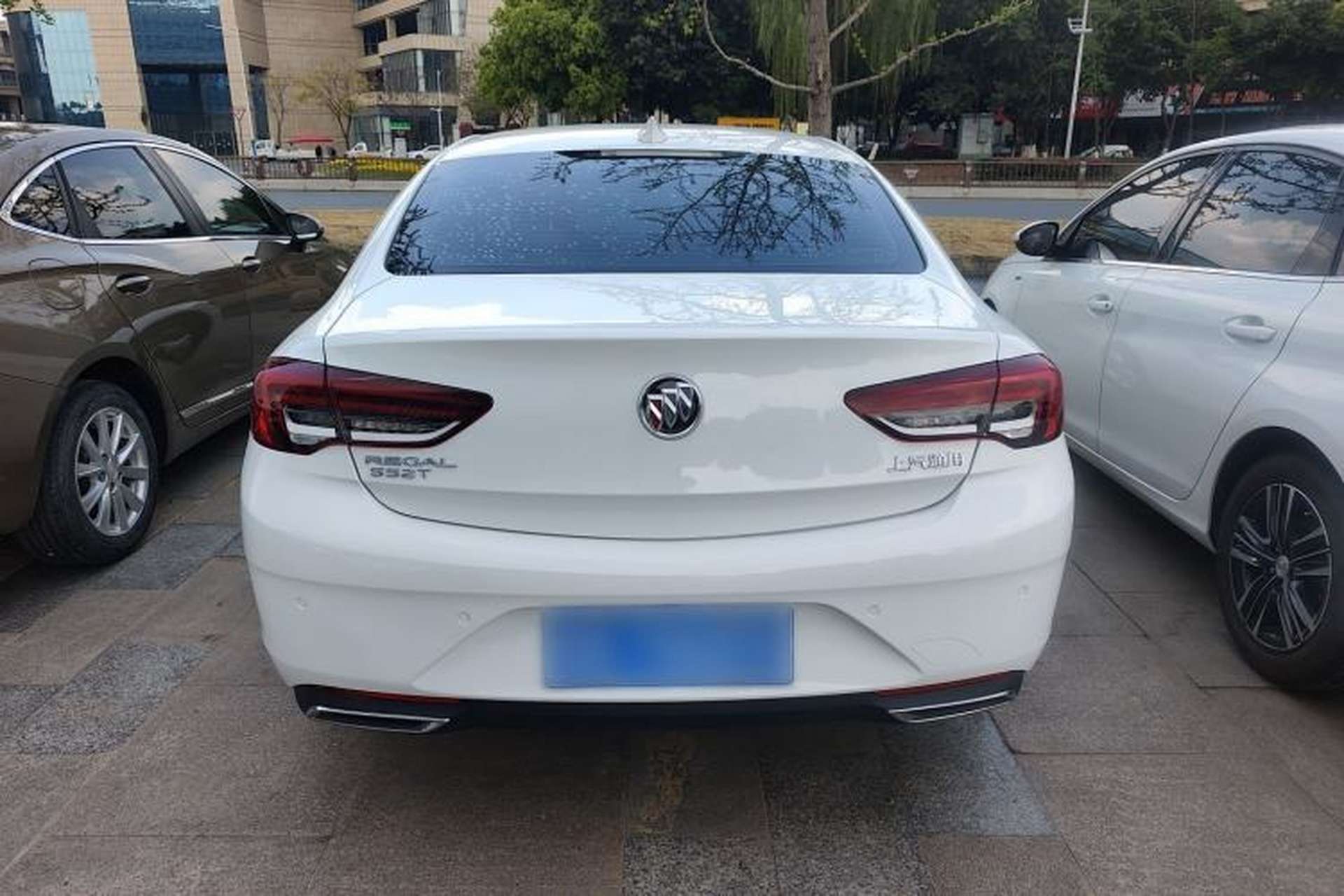 Used Buick Regal 2020 552T Elite Edition Rear