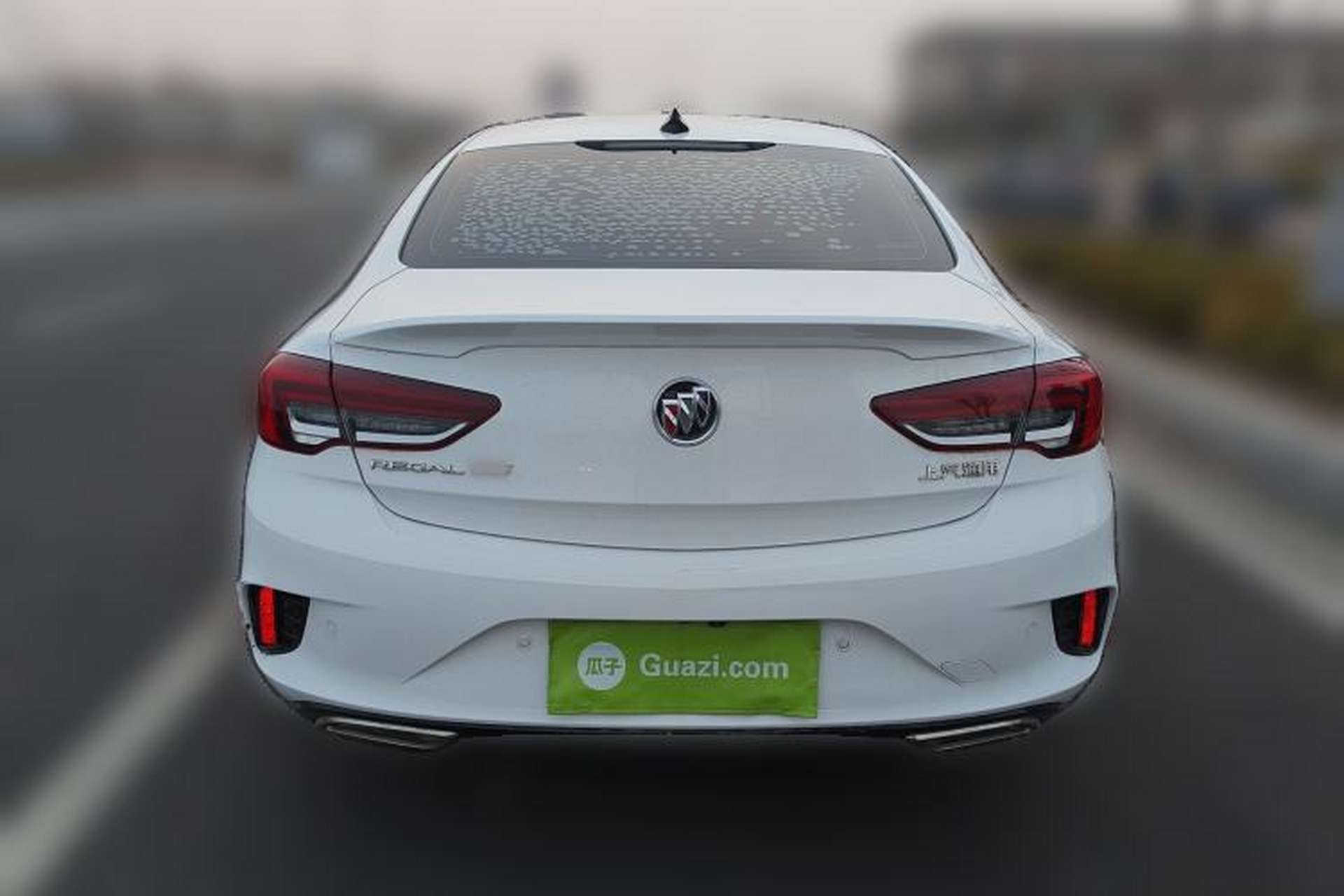 Used Buick Regal 2020 GS 28T Elite Model Rear
