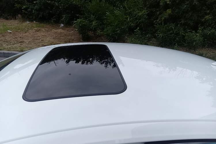 Used Buick Regal 2020 552T Elite Edition Roof