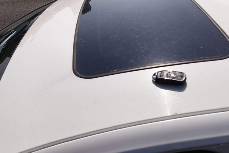 Used Buick Regal 2020 552T Elite Edition Roof