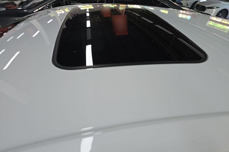Used Buick Regal 2020 552T Elite Edition Roof