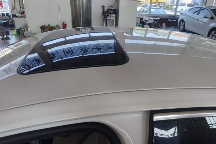 Used Buick Regal 2020 552T Elite Edition Roof