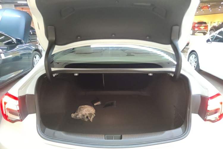 Used Buick Regal 2020 552T Elite Edition Trunk