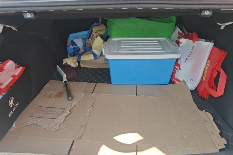 Used Buick Regal 2020 552T Elite Edition Trunk
