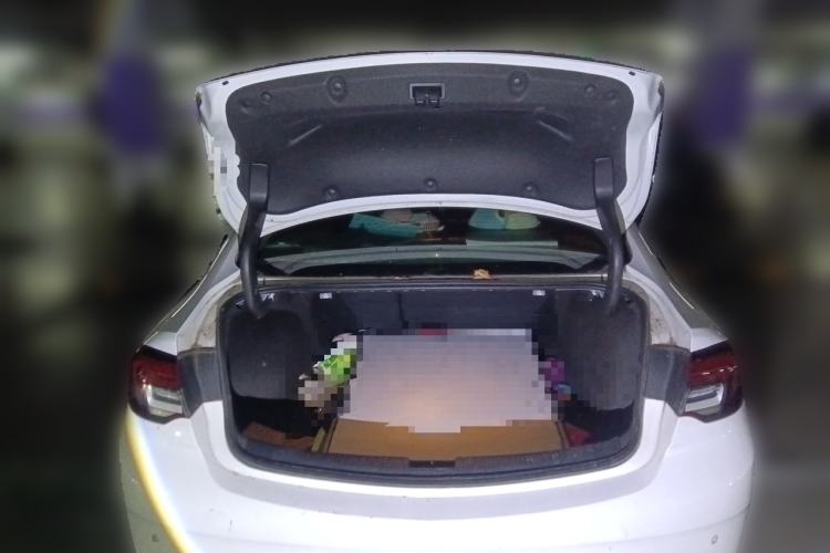 Used Buick Regal 2020 552T Elite Edition Trunk