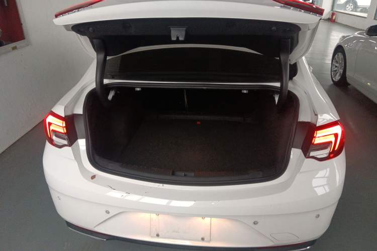 Used Buick Regal 2020 552T Elite Edition Trunk