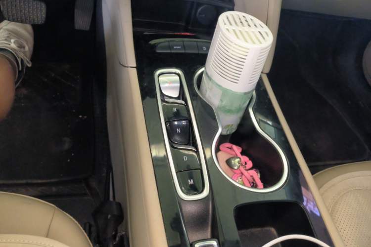 Used Buick Regal 2021 552T Elite Edition Gear Lever