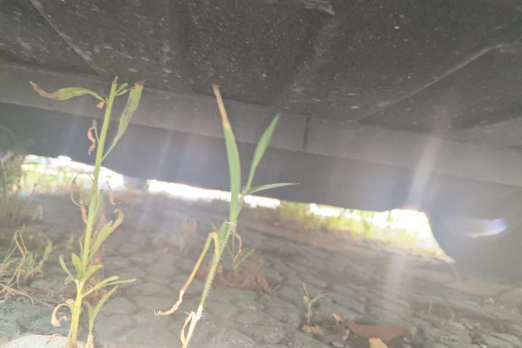 Used Buick Regal 2021 GS 28T Elite Model Chassis Front