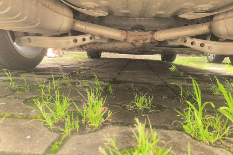 Used Buick Regal 2021 GS 28T Elite Model Chassis Rear