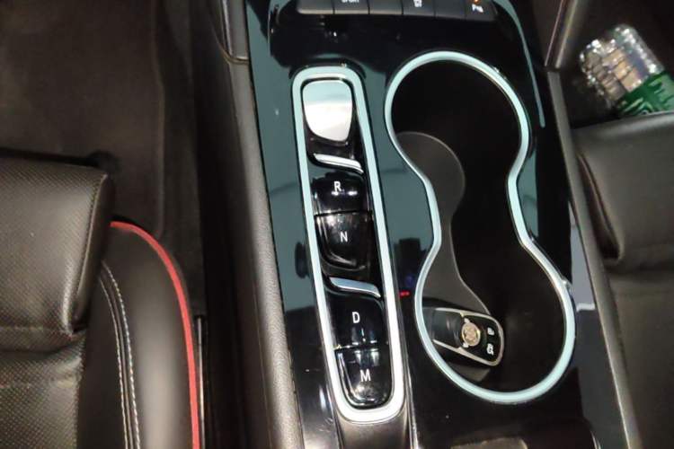 Used Buick Regal 2021 GS 28T Elite Model Gear Lever