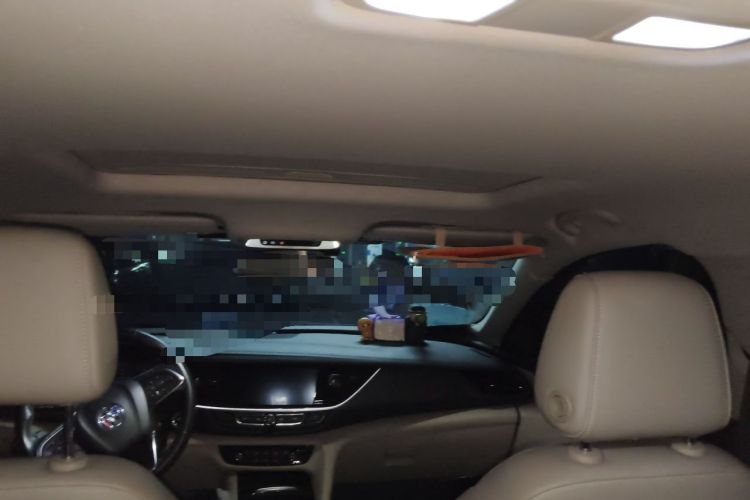 Used Buick Regal 2021 552T Elite Edition Headliner