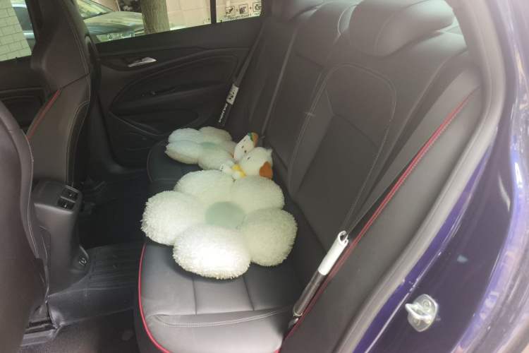Used Buick Regal 2021 Facelifted GS 28T Elite Model Left Rear Seat