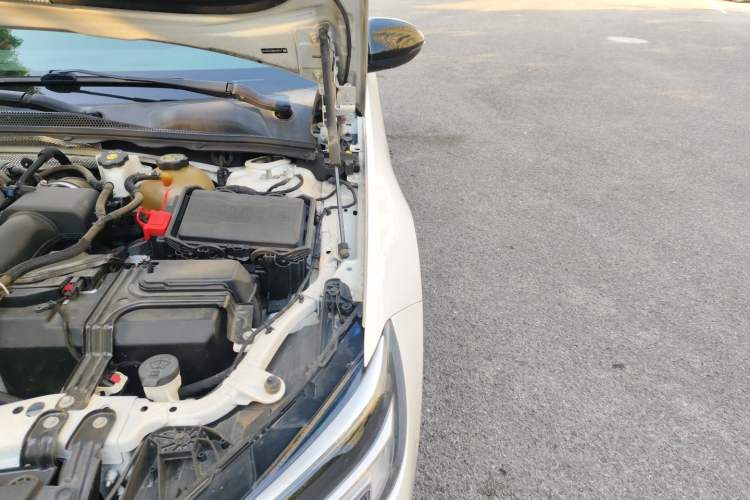 Used Buick Regal 2021 GS 28T Elite Model Engine Bay Left