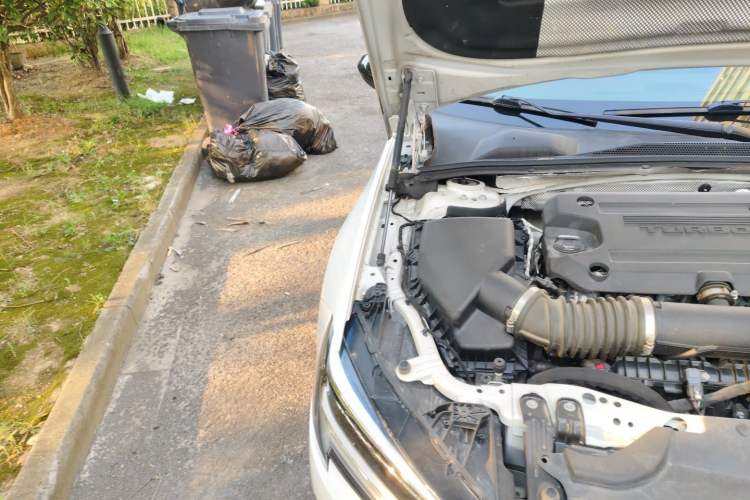 Used Buick Regal 2021 GS 28T Elite Model Engine Bay Right