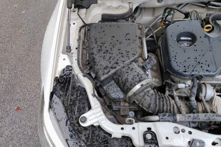 Used Buick Regal 2021 552T Elite Edition Engine Bay Right