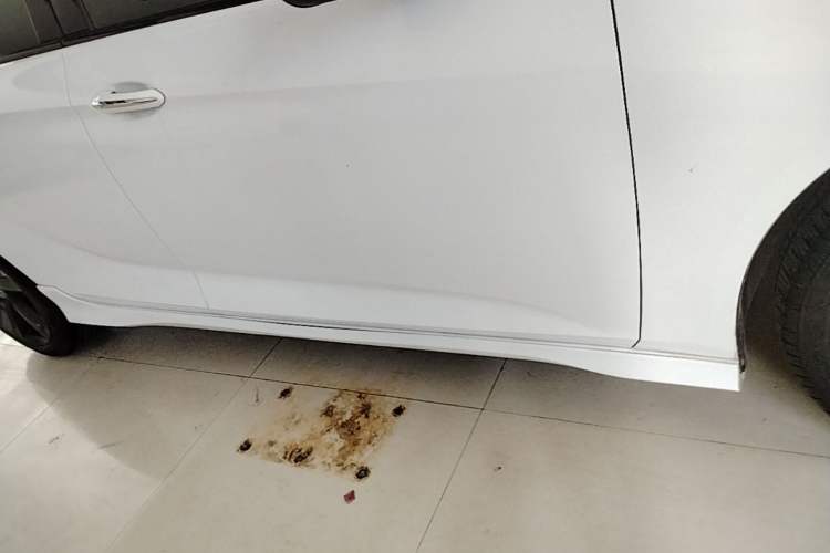 Used Buick Regal 2021 GS 28T Elite Model Right Side Sill