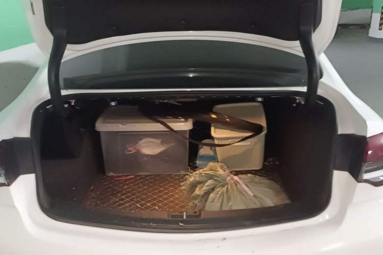 Used Buick Regal 2021 552T Elite Edition Trunk
