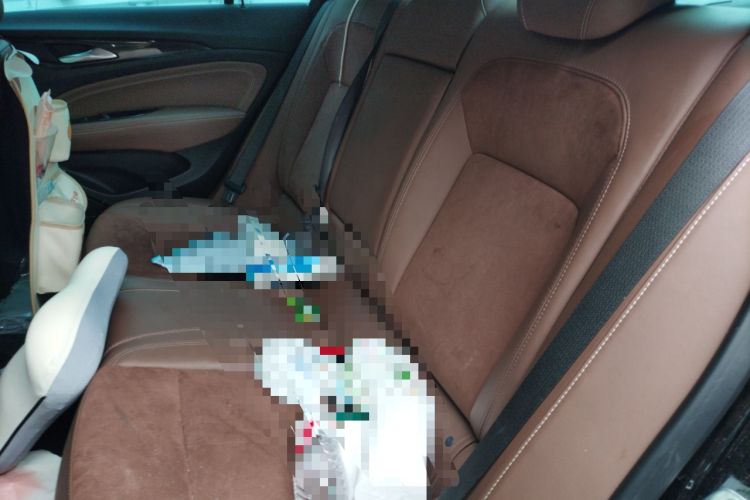 Used Buick Regal 2022 552T Smart Edition Left Rear Seat
