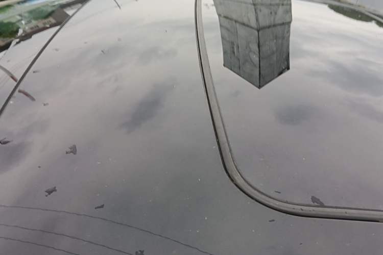 Used Buick Regal 2022 552T Smart Edition Roof