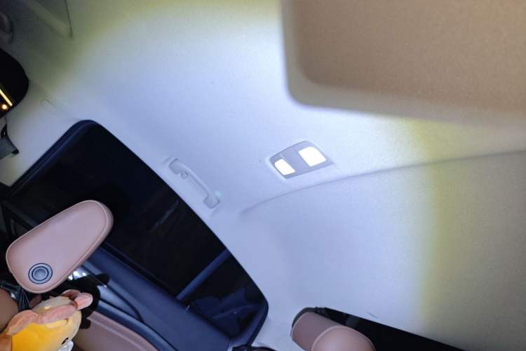 Used Buick Regal 2022 552T Smart Edition Headliner