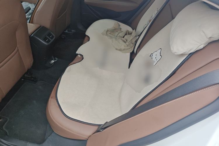 Used Buick Regal 2022 552T Smart Edition Left Rear Seat