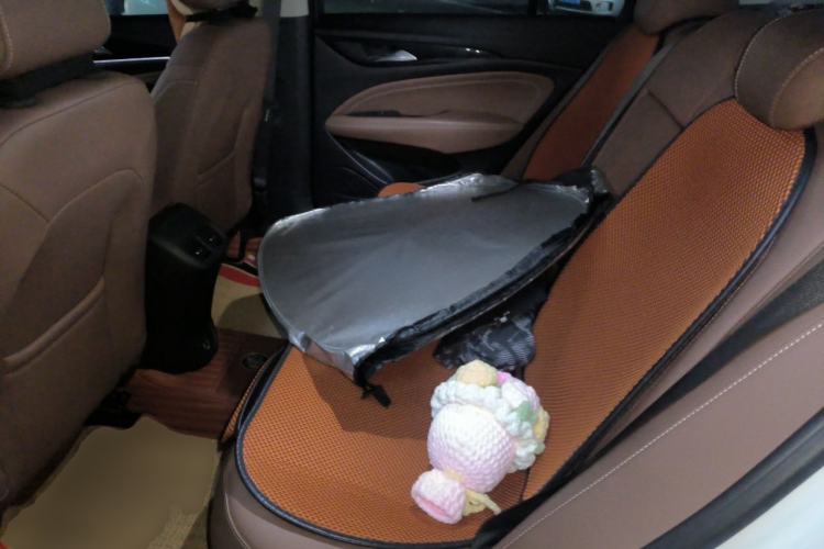Used Buick Regal 2022 552T Smart Edition Left Rear Seat