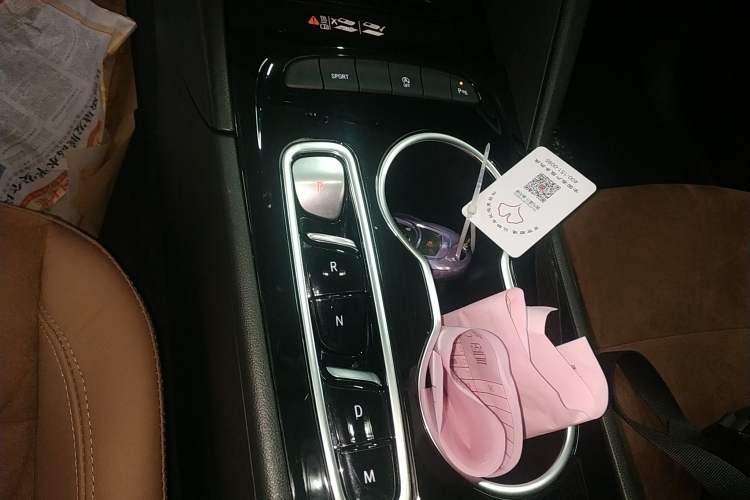 Used Buick Regal 2023 652T Smart Enjoyment Version Gear Lever