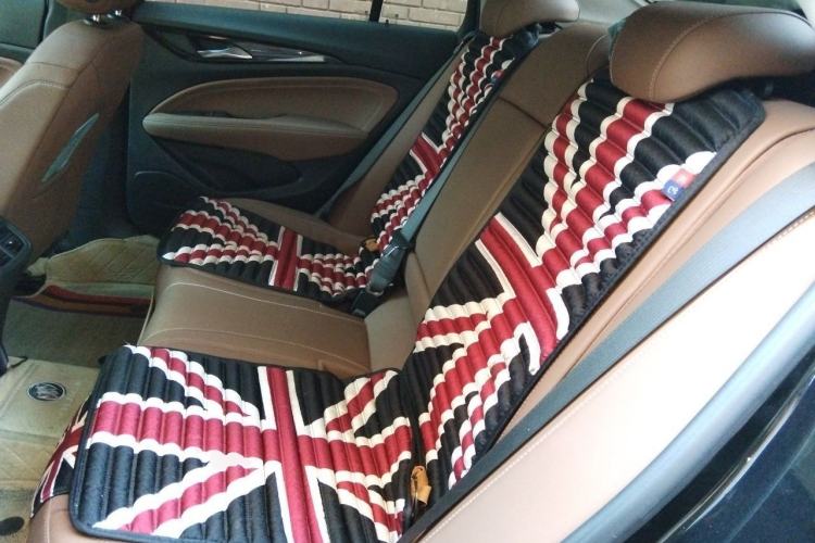 Used Buick Regal 2023 552T Smart Enjoyment Version Left Rear Seat