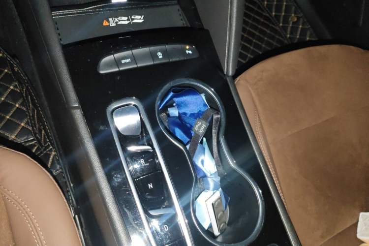 Used Buick Regal 2023 552T Smart Enjoyment Version Gear Lever