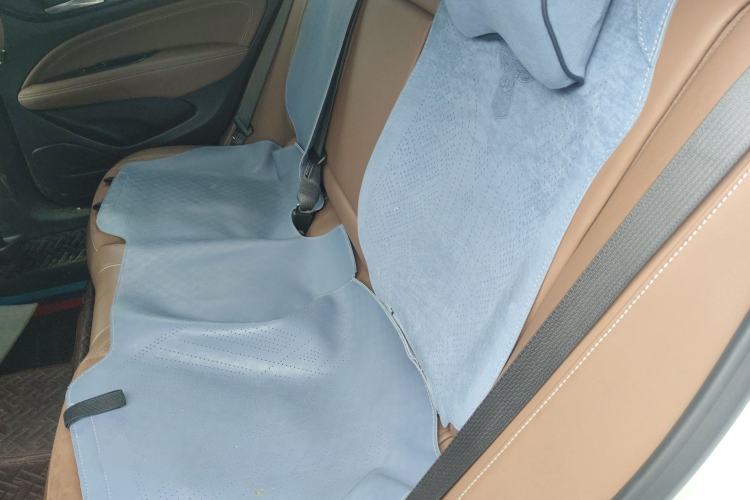 Used Buick Regal 2023 552T Smart Enjoyment Version Left Rear Seat