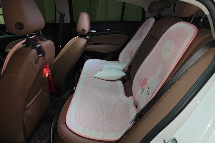 Used Buick Regal 2023 552T Smart Enjoyment Version Left Rear Seat
